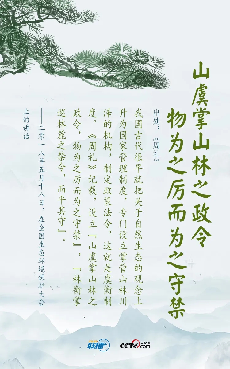 c.webp