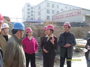 宋凤仙部长听取中国文字博物馆建设进展情况汇报（组图）