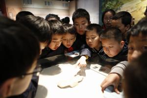 研学动态|河南省实验小学——中国文字博物馆研学活动圆满结束 领略甲骨文化，品读大美汉字