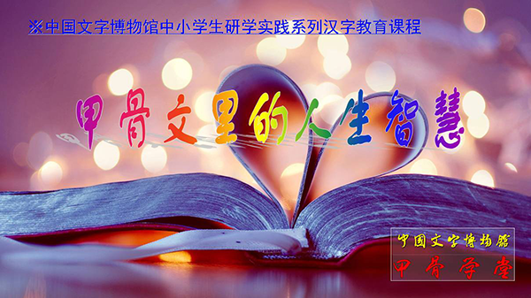 图片6