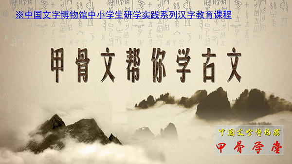 图片7