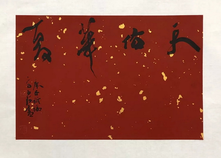 高少柯.webp_调整大小