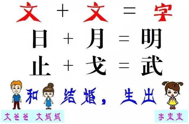 5.webp