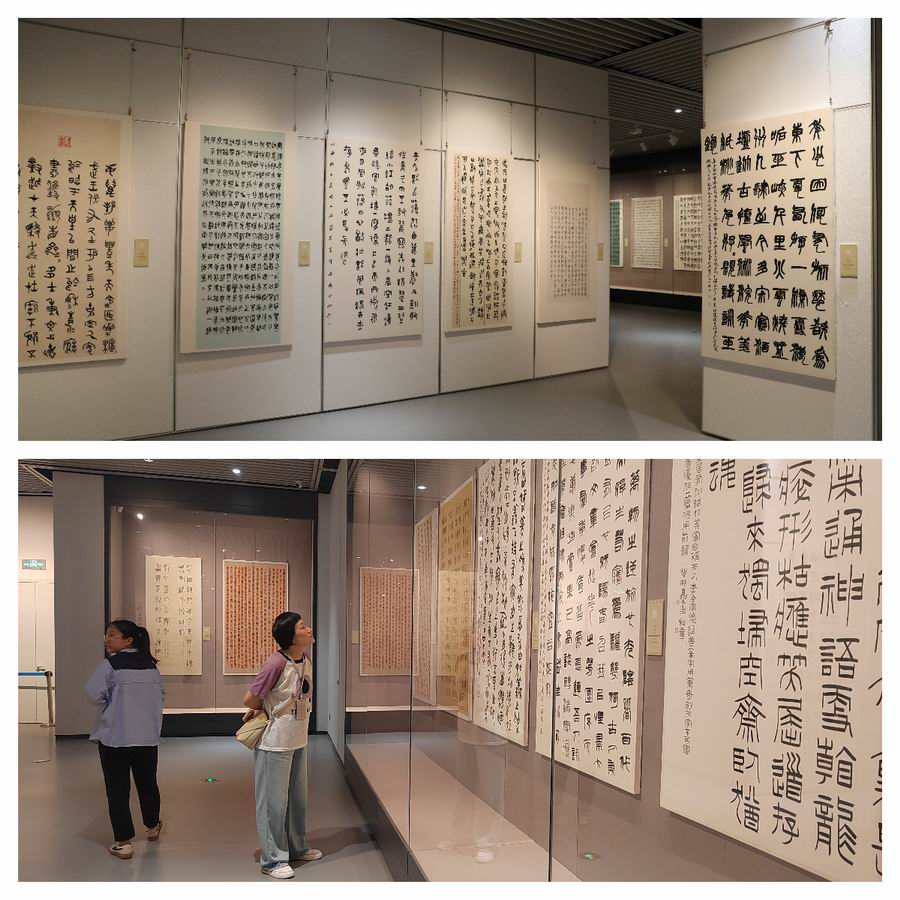 调整大小 下载7