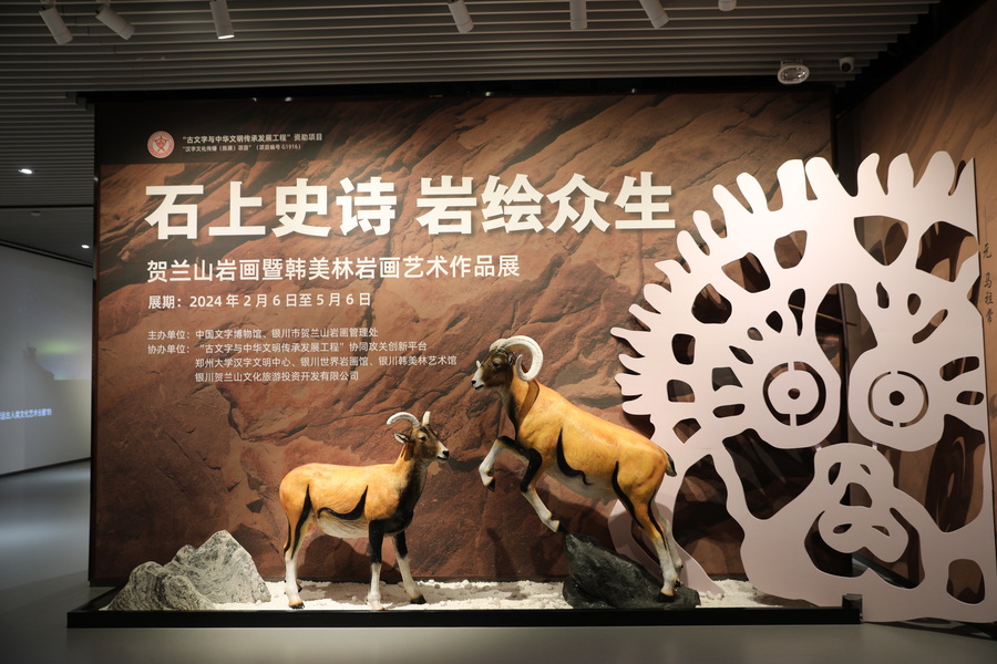 EE5A5417_调整大小.JPG