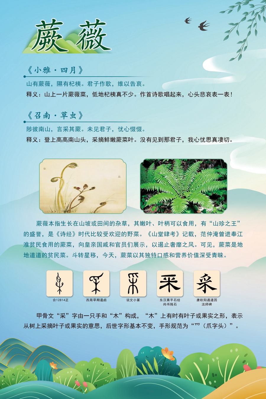 4.蕨薇_调整大小