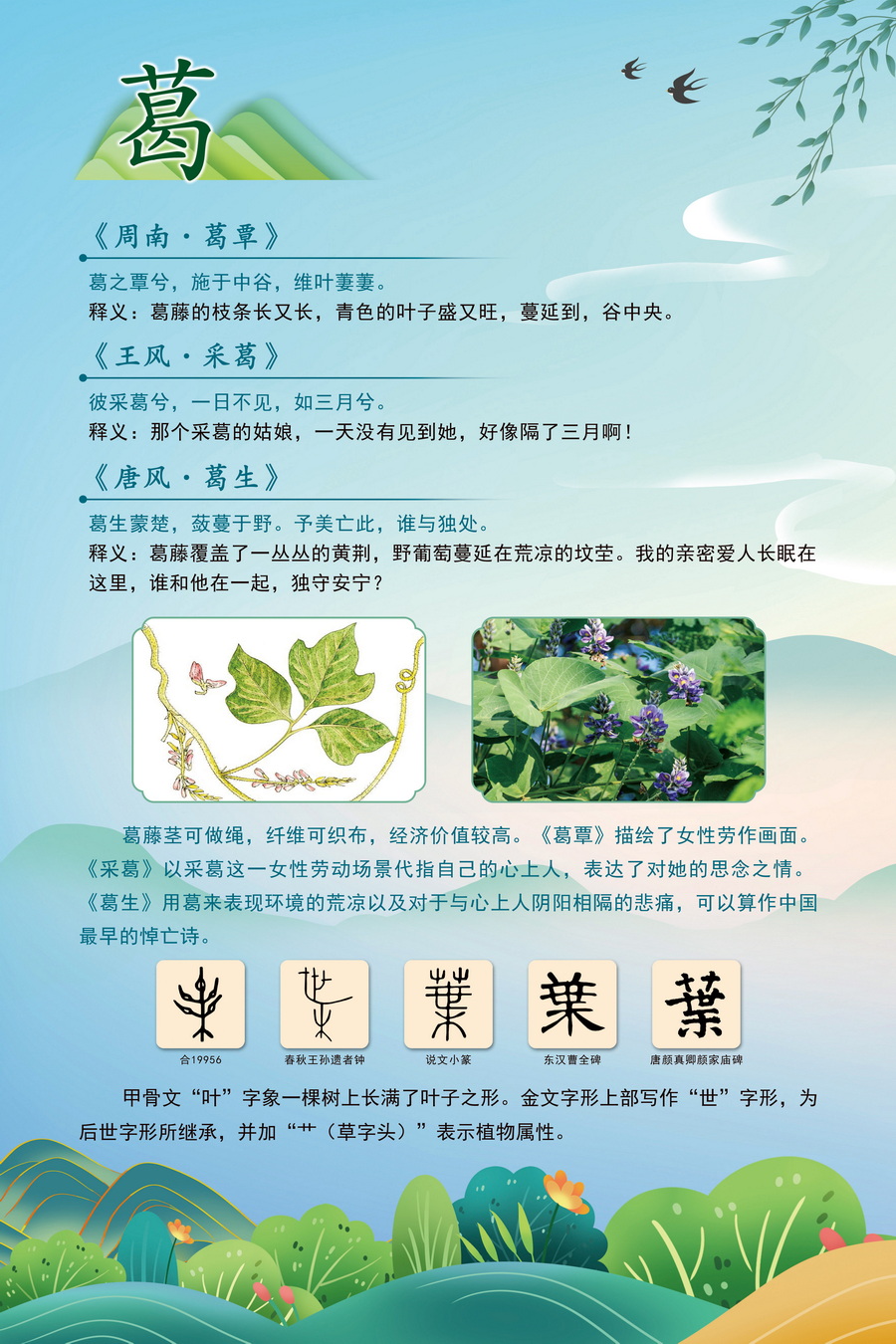 5.葛_调整大小