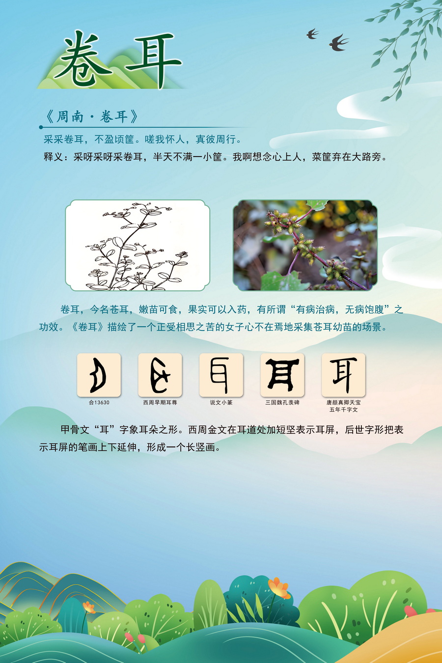6.卷耳_调整大小