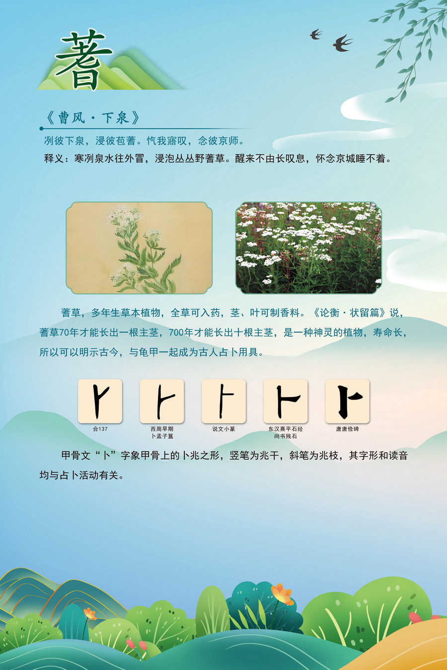 8.蓍_调整大小