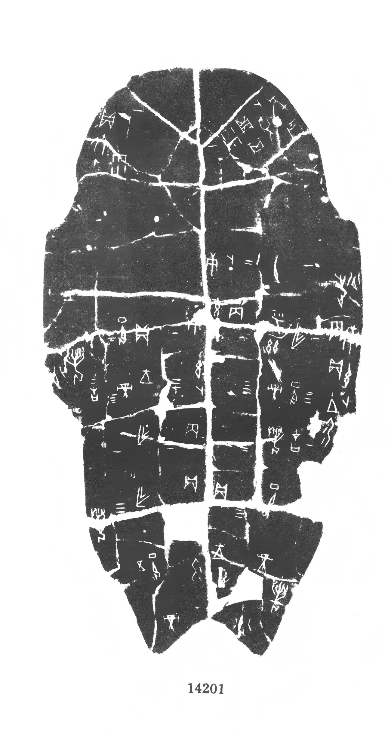 合14201
