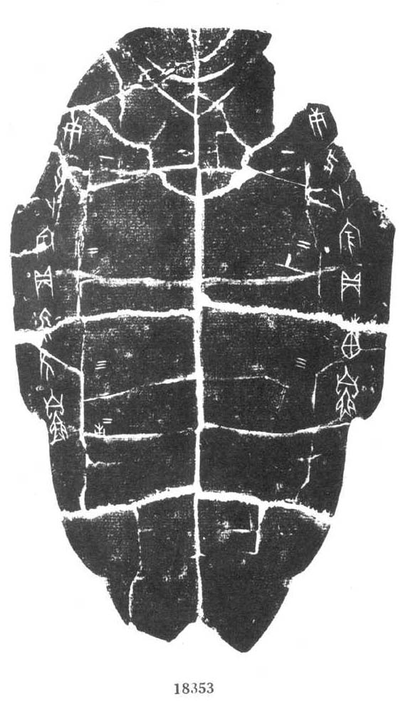 合18353